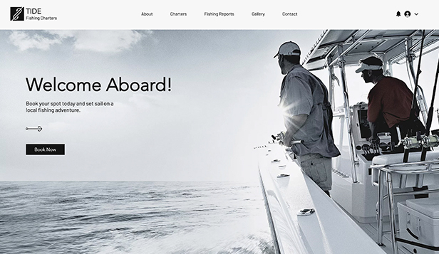 Travel Website